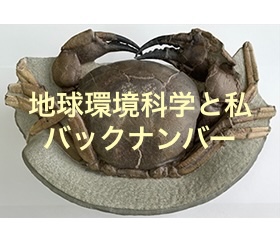 ここにバナーが入ります。